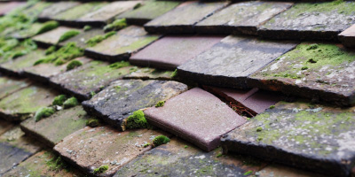 Toot Hill roof repair costs